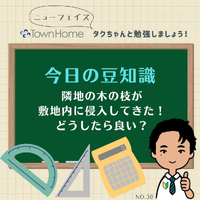 画像1062
