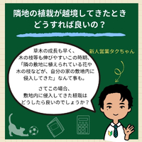 画像1063
