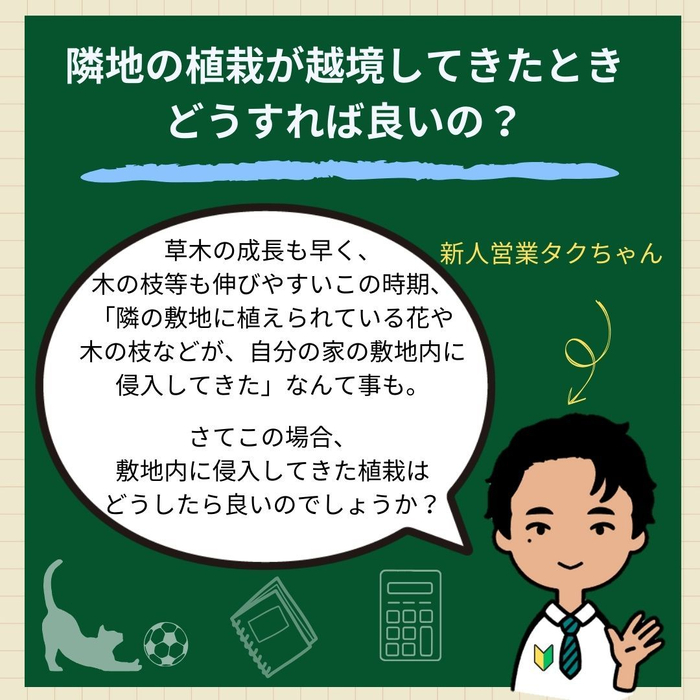 画像1063
