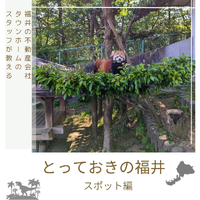 画像1105