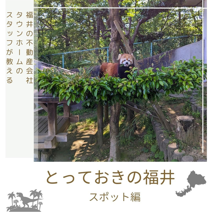 画像1105