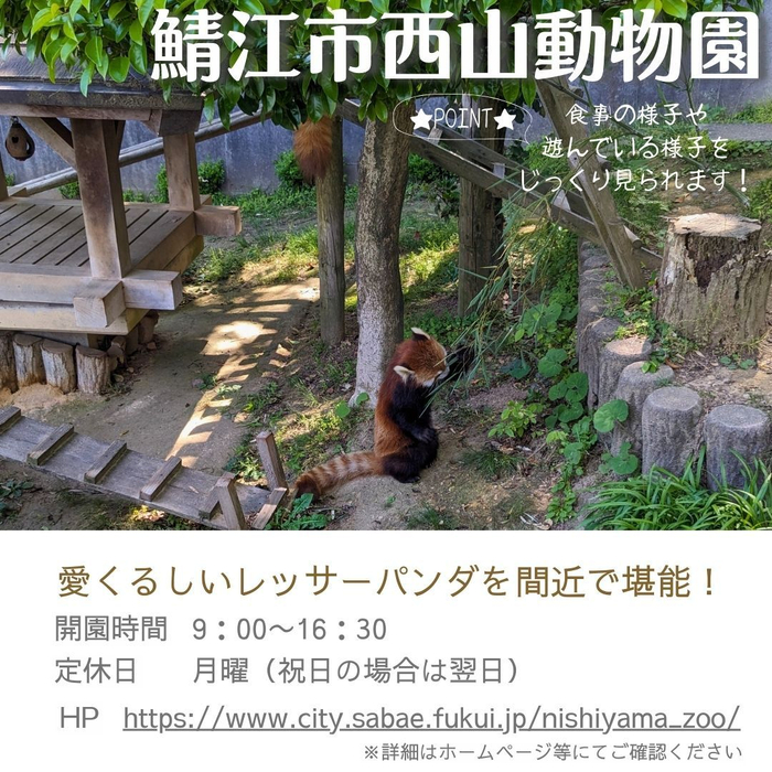 画像1106
