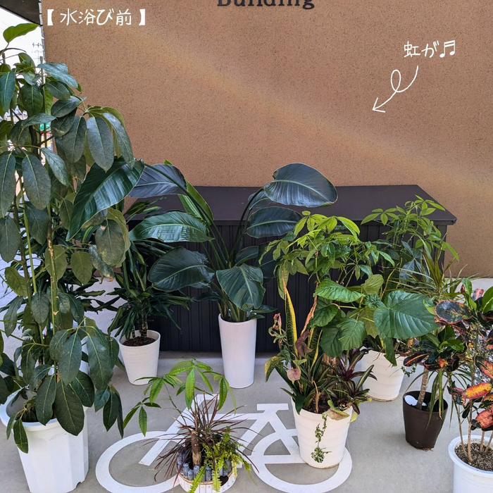 画像1137