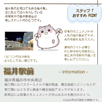 画像1167