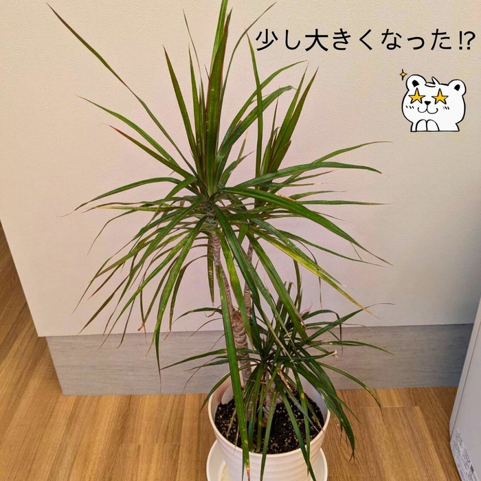 画像1301