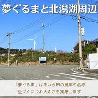 画像1431