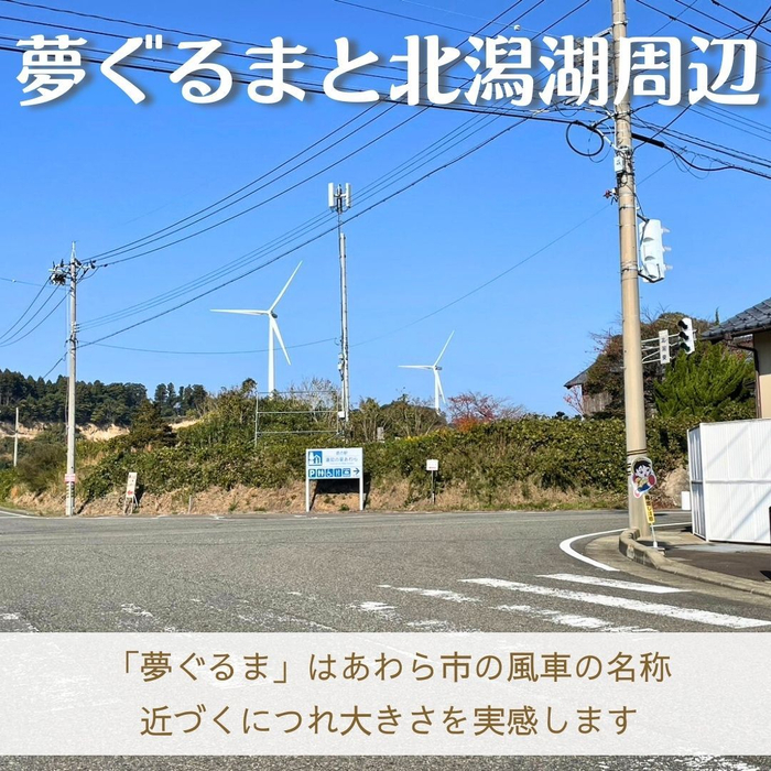 画像1431