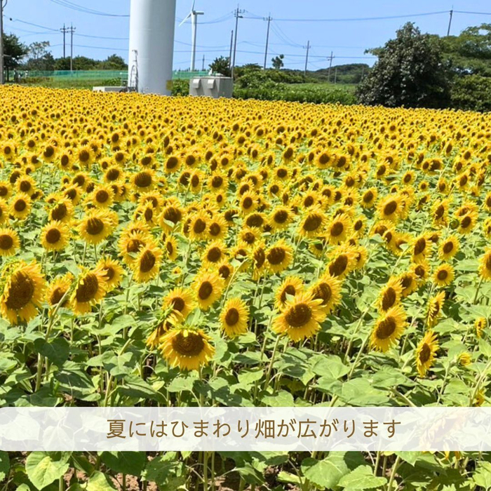 画像1434