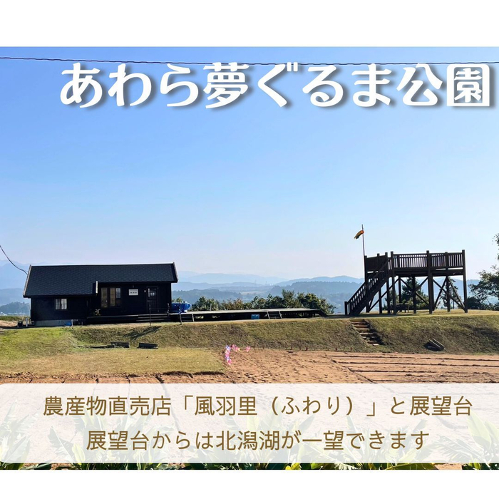 画像1435