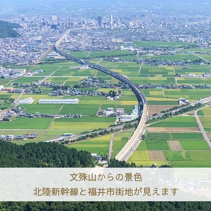 画像1473