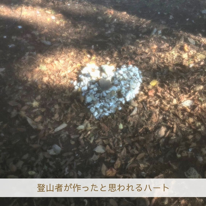 画像1474