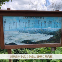 画像1475