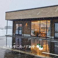 画像1516