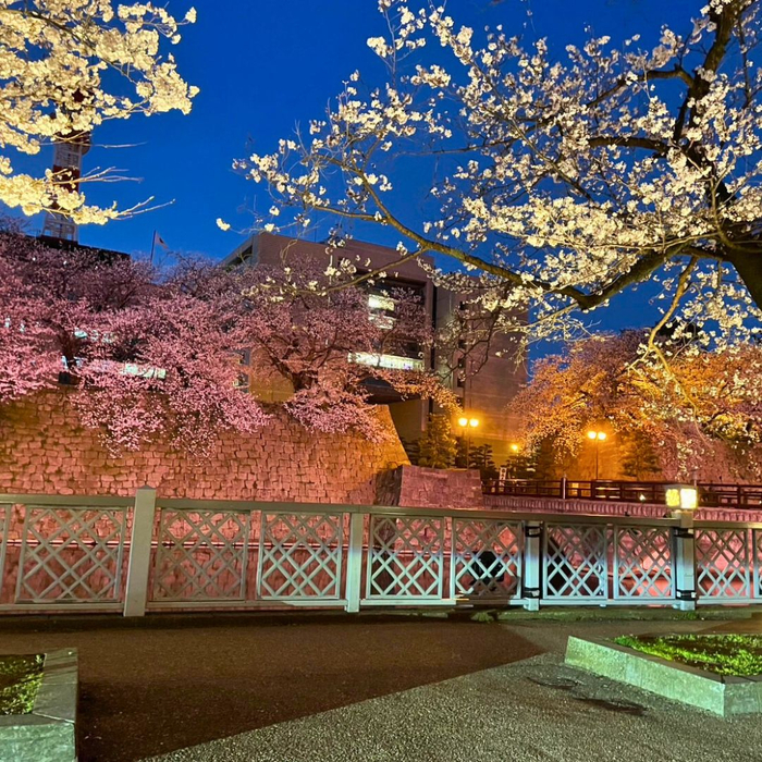 画像1774