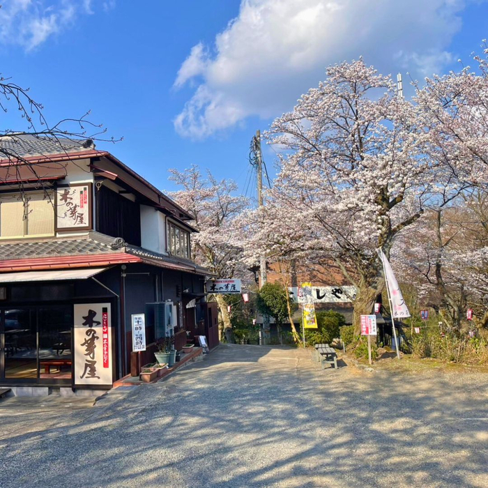 画像1775