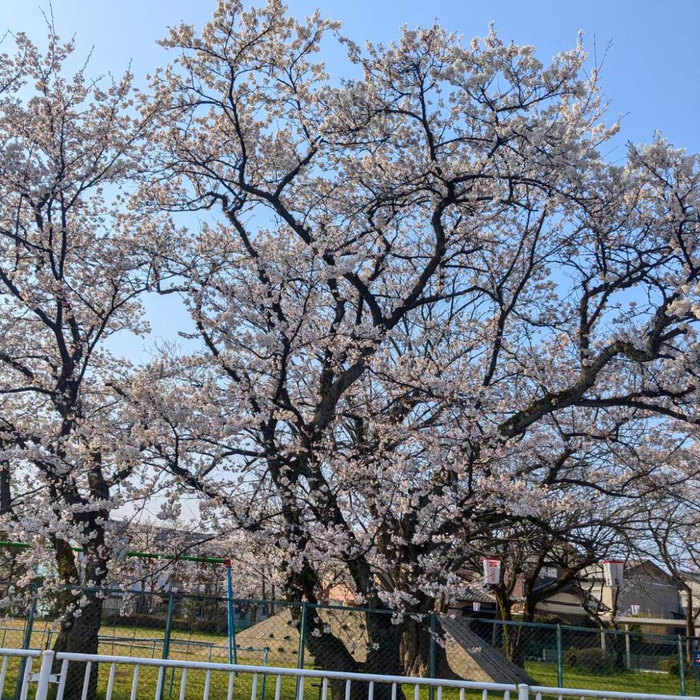画像1777