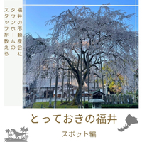 画像1780