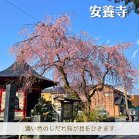 画像1781