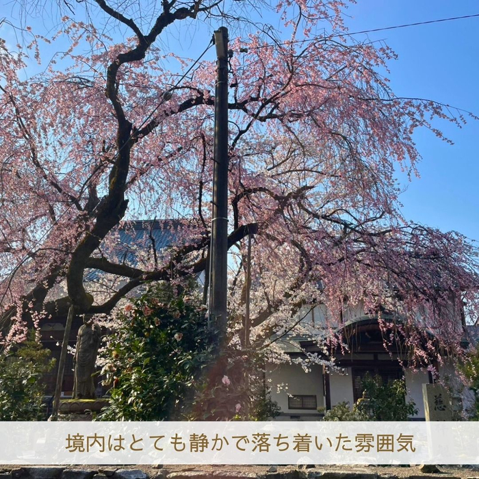 画像1782