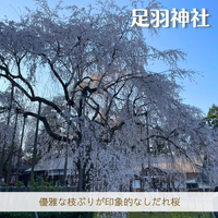 画像1783