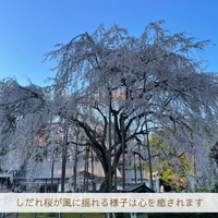 画像1784