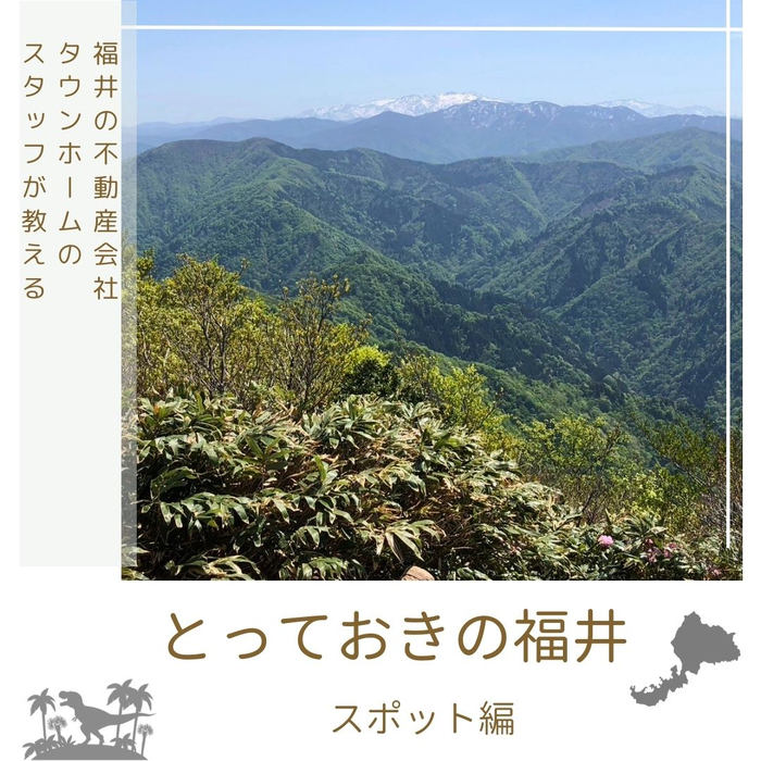 画像1820