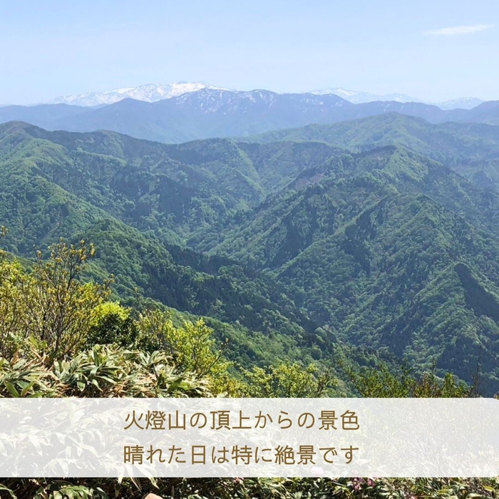 画像1822