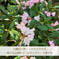 画像1823