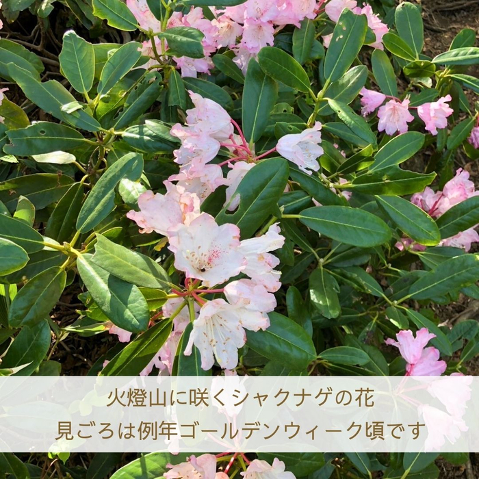 画像1823