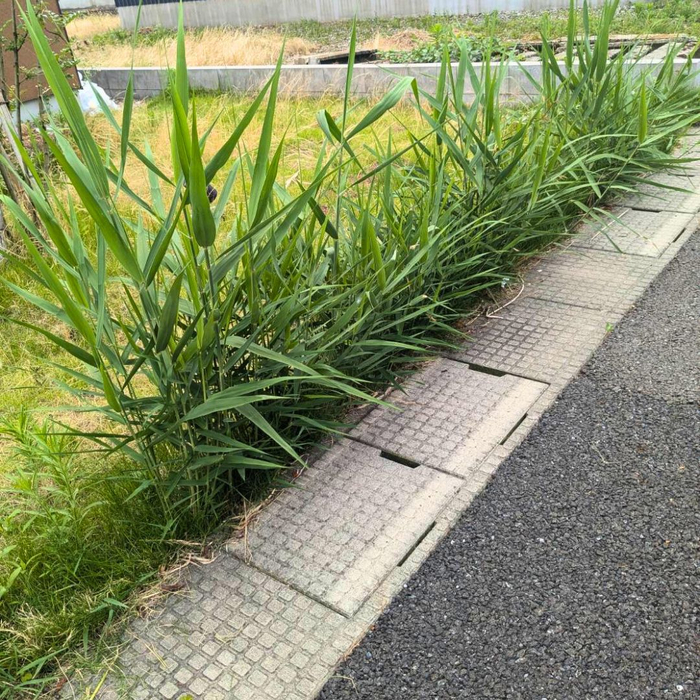 画像2051