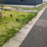 画像2052