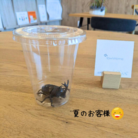 画像2149
