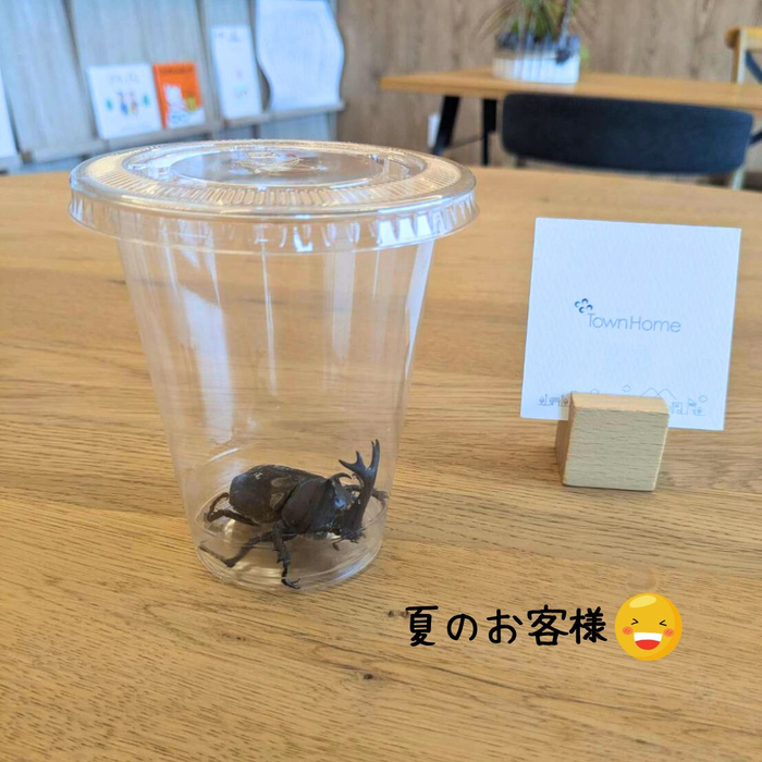 画像2149