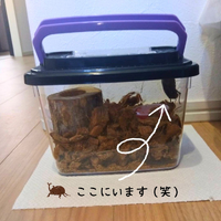 画像2150
