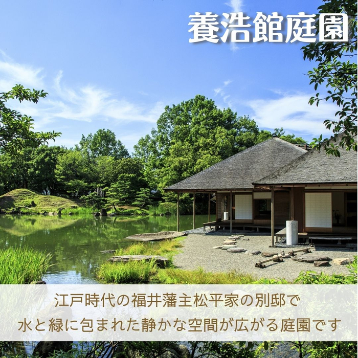 画像2214