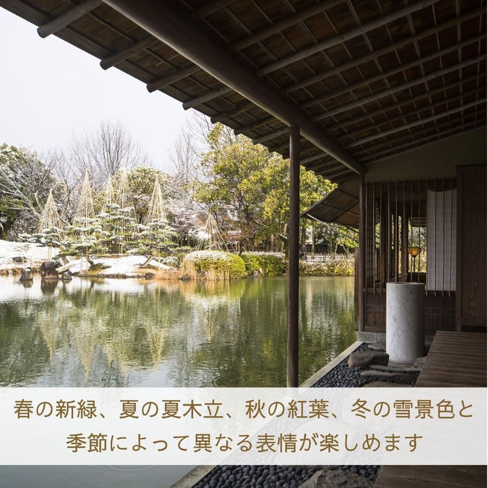 画像2215
