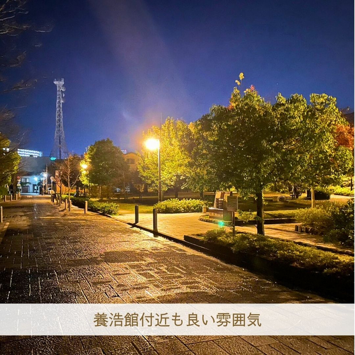画像2218