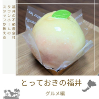 画像2234