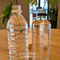 画像2314