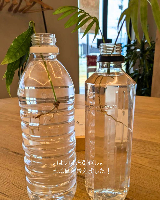 画像2314