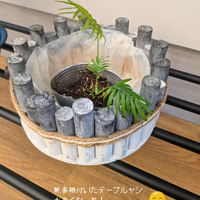 画像2315