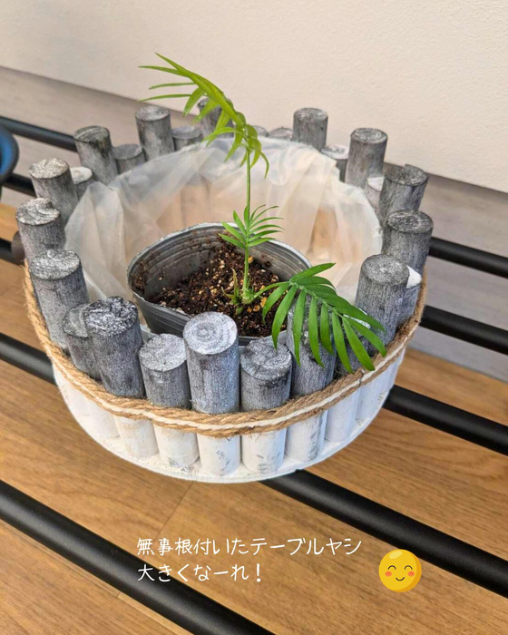 画像2315