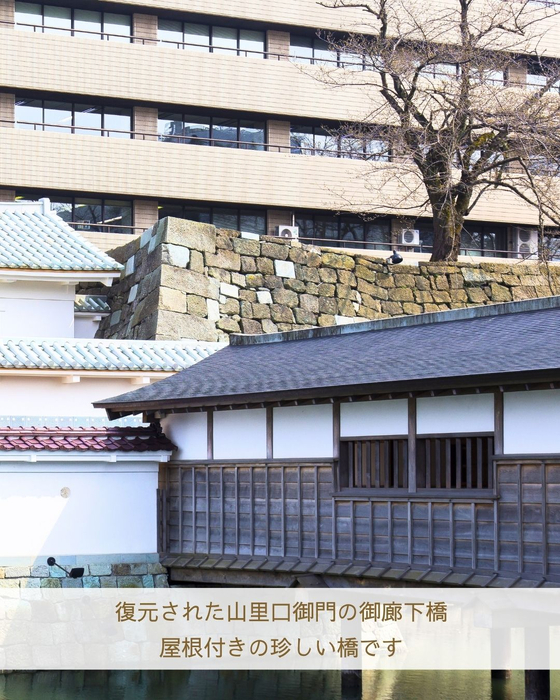 画像2361