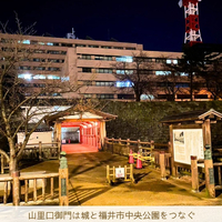 画像2362