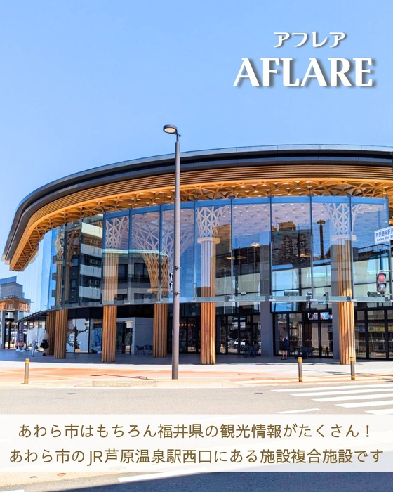 画像2380