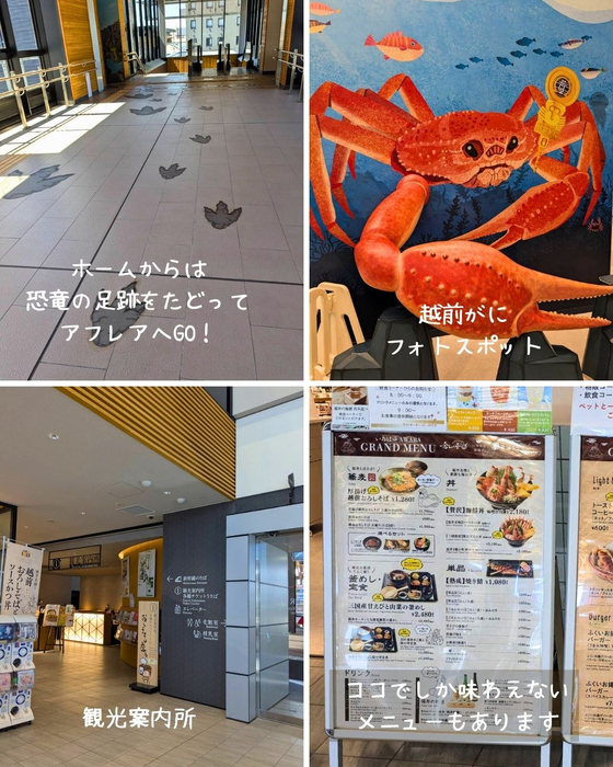 画像2385