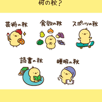 画像2431