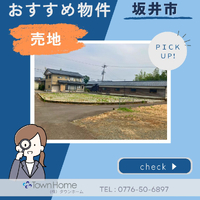 画像2443