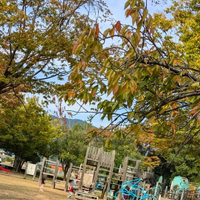 画像2449