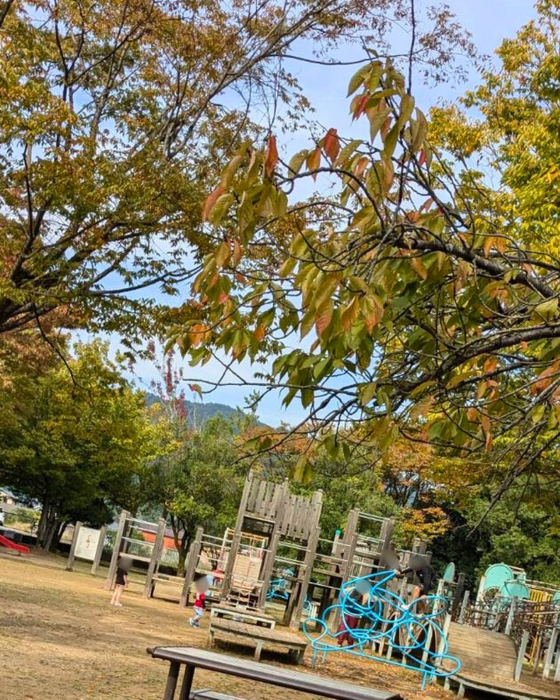 画像2449